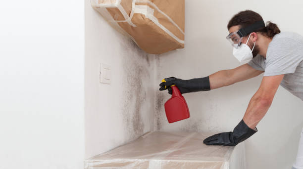 Professional Crawl Space Mold Remediation technician working in Roxbury Crossing, MA