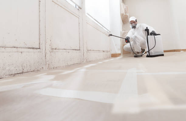 24/7 Emergency Crawl Space Mold Remediation experts in Roxbury Crossing, MA